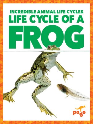cover image of Life Cycle of a Frog